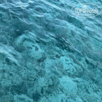 фото из отзыва ID 2660861