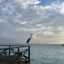 фото из отзыва ID 2660861