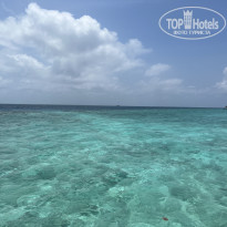 фото из отзыва ID 2660861