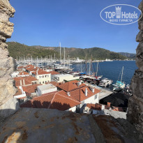 фото из отзыва ID 2660882