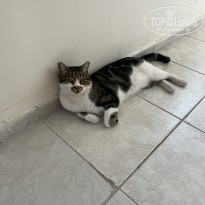 фото из отзыва ID 2660882