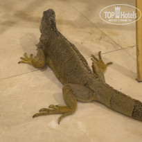 фото из отзыва ID 2660885