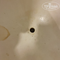 фото из отзыва ID 2660917