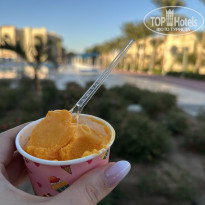 фото из отзыва ID 2660932