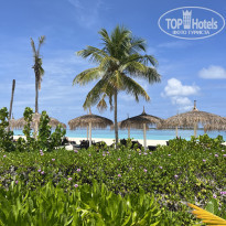 фото из отзыва ID 2660939