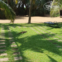 фото из отзыва ID 2660945