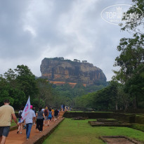 фото из отзыва ID 2660945