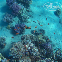 фото из отзыва ID 2660992