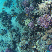 фото из отзыва ID 2660992