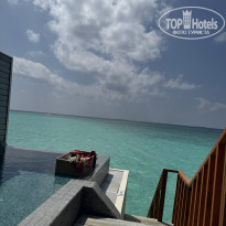 фото из отзыва ID 2660997