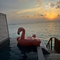 фото из отзыва ID 2660997