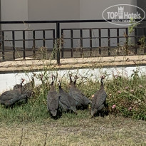 фото из отзыва ID 2661000