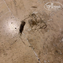 фото из отзыва ID 2661000