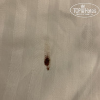 фото из отзыва ID 2661000