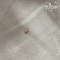 фото из отзыва ID 2661000