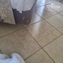 фото из отзыва ID 2661007