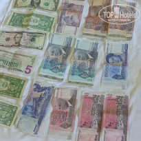 фото из отзыва ID 2660674