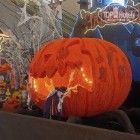 фото из отзыва ID 2660674