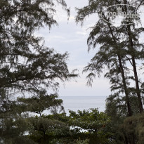 фото из отзыва ID 2661023