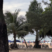 фото из отзыва ID 2661023