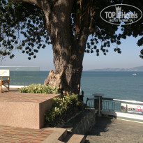 фото из отзыва ID 2661021