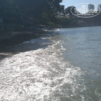 фото из отзыва ID 2661021