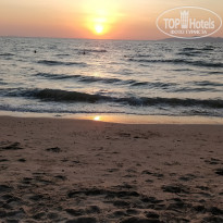 фото из отзыва ID 2661021