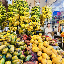 фото из отзыва ID 2661035