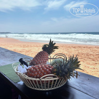 фото из отзыва ID 2661035