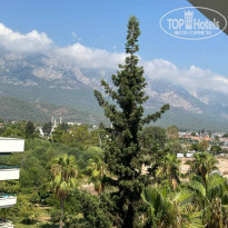 фото из отзыва ID 2661045