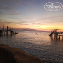 фото из отзыва ID 2661046