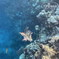 фото из отзыва ID 2661078