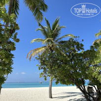 фото из отзыва ID 2661092