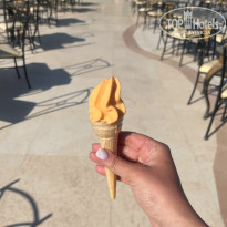 фото из отзыва ID 2661103