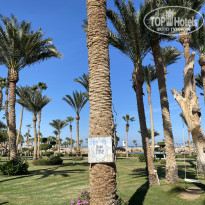 фото из отзыва ID 2661140