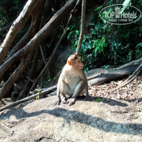 фото из отзыва ID 2661154