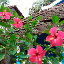 фото из отзыва ID 2661154