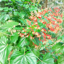 фото из отзыва ID 2661154