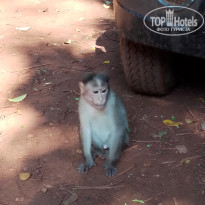 фото из отзыва ID 2661154