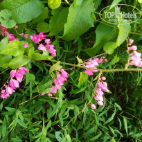 фото из отзыва ID 2661154