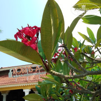 фото из отзыва ID 2661154