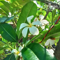 фото из отзыва ID 2661154