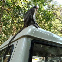 фото из отзыва ID 2661154