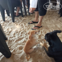 фото из отзыва ID 2661154