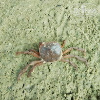 фото из отзыва ID 2661154