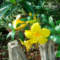 фото из отзыва ID 2661154