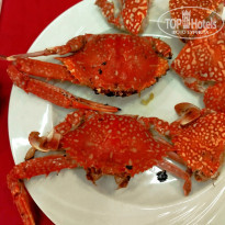 фото из отзыва ID 2661165