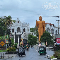 фото из отзыва ID 2661194