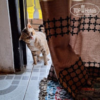 фото из отзыва ID 2661194