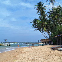 фото из отзыва ID 2661194